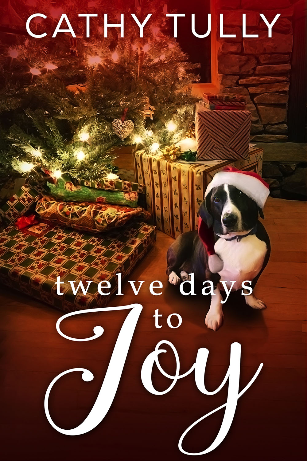 Twelve days to Joy Book